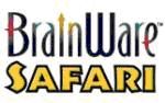 brainwave